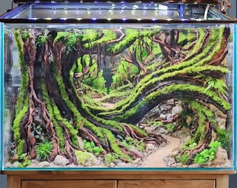 流木盆栽水槽岩水景ハードスケープ植物水槽装飾 - Etsy 日本