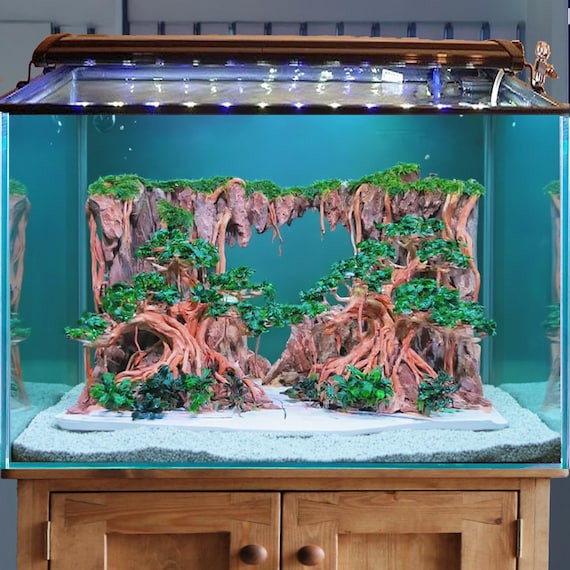 Aquascaping With Driftwood Caves: Stunning Natural Aquatic Designs