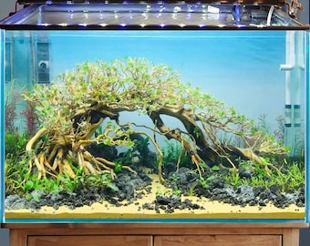 水槽用盆栽水景流木と古代石 - Etsy 日本