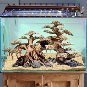 流木盆栽水槽、ジャワモス流木盆栽、テラリウム水槽水景装飾、爬虫類