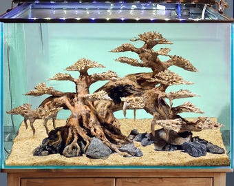 流木盆栽水槽、ジャワモス流木盆栽、テラリウム水槽水景装飾、爬虫類