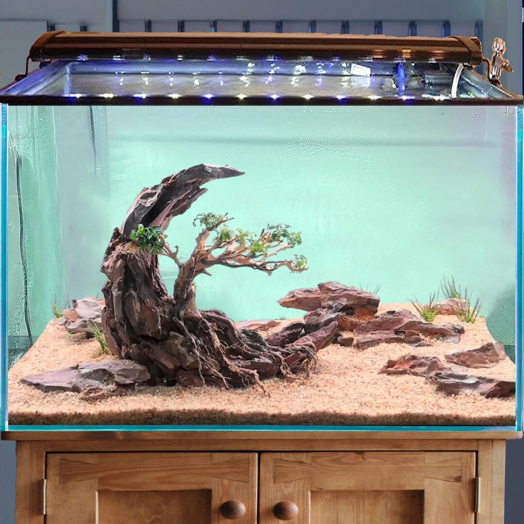 Handmade Driftwood Bonsai – Dragon Stone Aquascape, Fish Tank Decor - Etsy