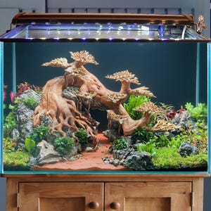 流木苔水槽、盆栽ミニ水景、流木盆栽ジャワ苔、テラリウム水槽装飾