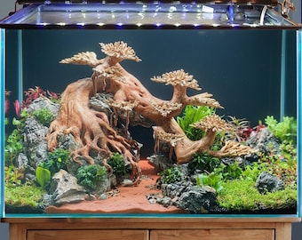 盆栽流木水槽水景岩盆栽水槽の装飾用 - Etsy 日本