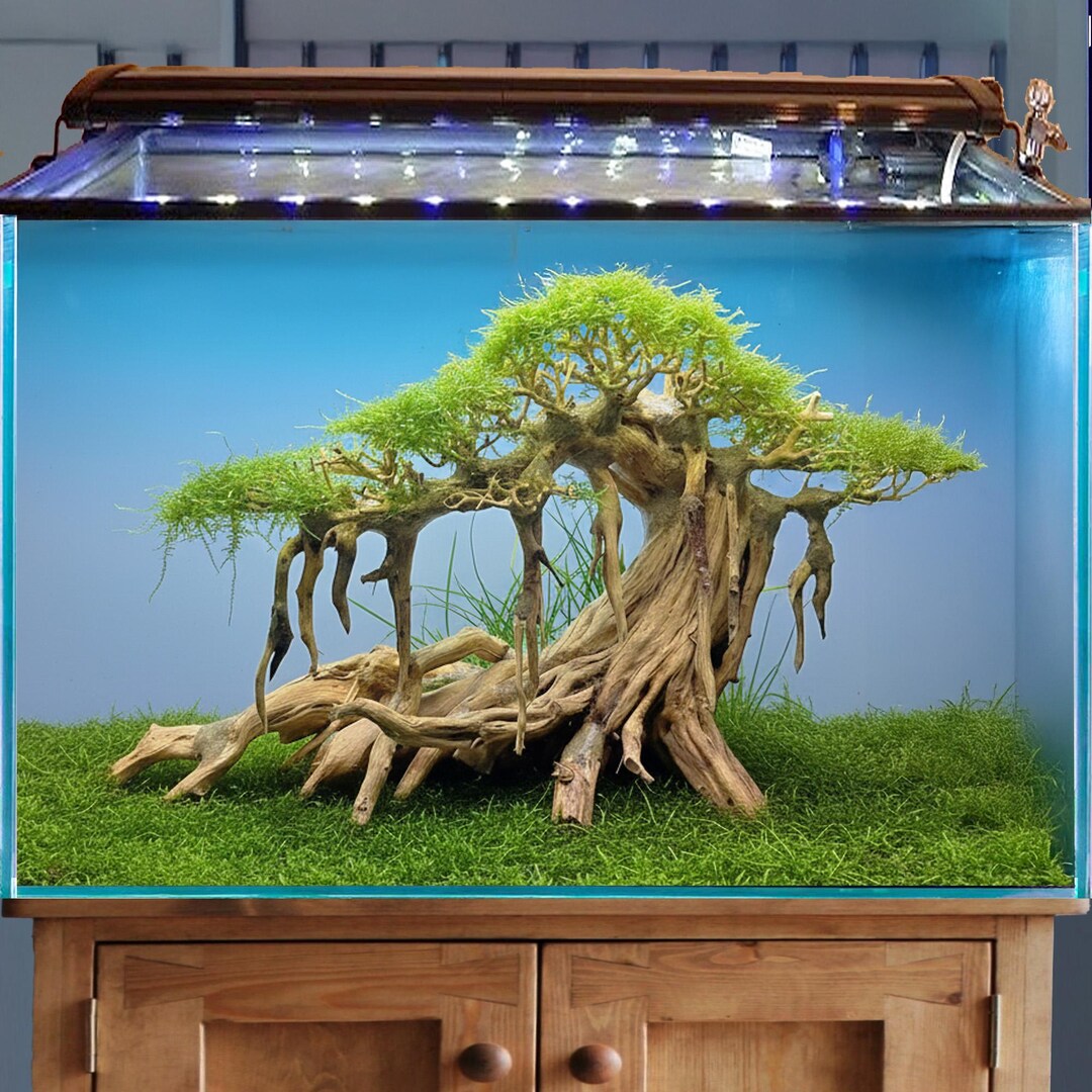 Handmade Driftwood Bonsai Tree | Aquatic Moss Aquarium Decoration - Etsy