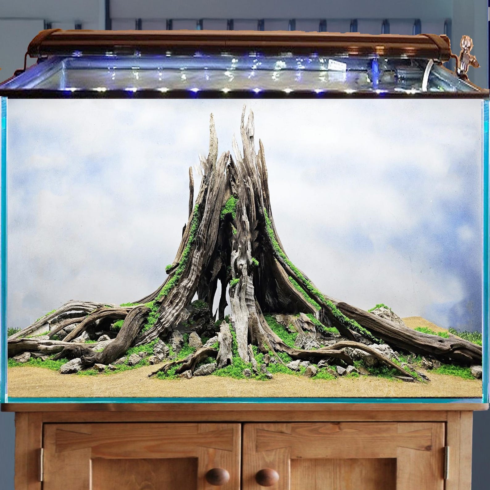 Aquarium Driftwood Stump Bonsai Aquascape Wood Hardscape Rocks Aquatic ...