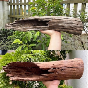 Tronco di legno per acquario, decorazione in legno naturale per acquario. immagine 6