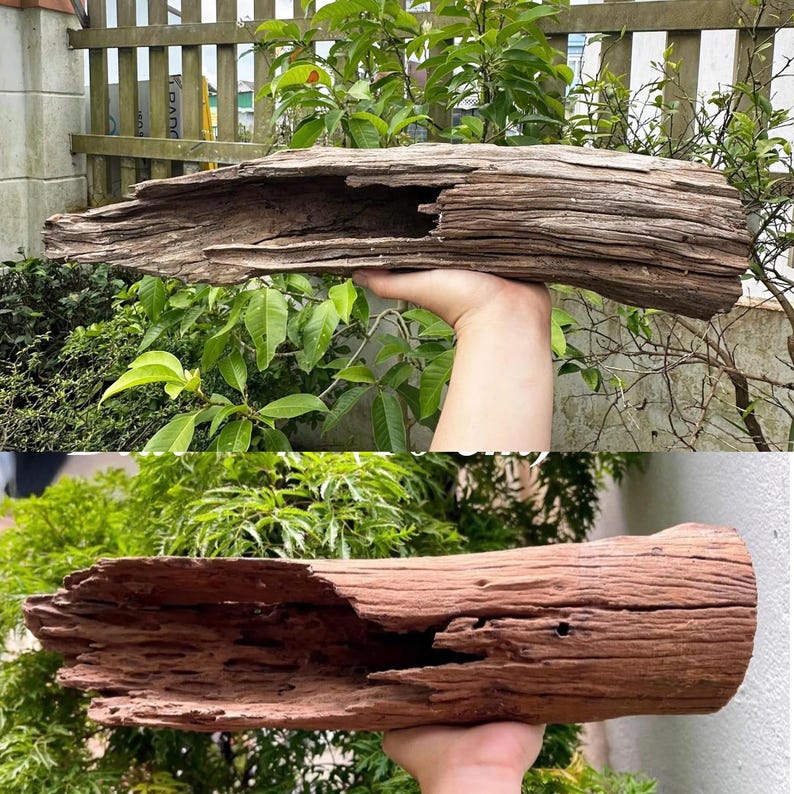 Tronco di legno per acquario, decorazione in legno naturale per acquario. immagine 6