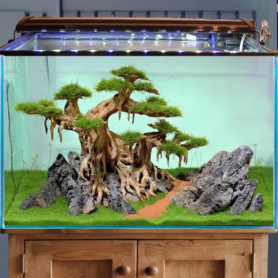 Handcrafted Bonsai Driftwood Tree With Stone - Aquarium Aquascape Decor -  Etsy