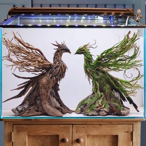 May include: An aquarium with two decorative sculptures resembling phoenixes. One is crafted from driftwood, displaying a brown hue, while the other is covered in green moss. The sculptures are positioned inside a glass tank, creating a unique aquatic display.