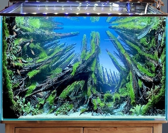 水槽の流木 大型水景 盆栽 流木 洞窟 水槽 装飾 - Etsy 日本