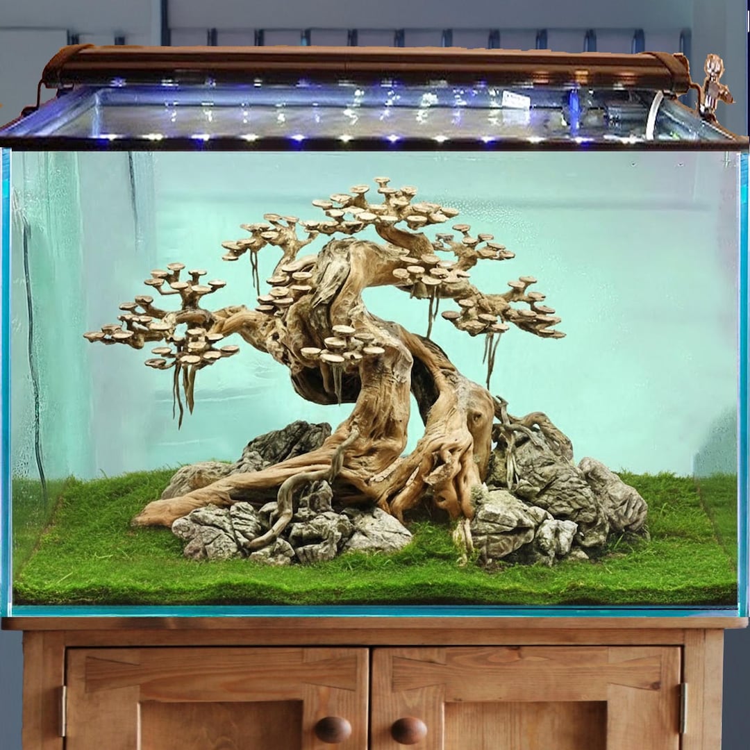 Aquascape Aquarium Driftwood Bonsai Hardscape Wood Aquatic Plant Fish ...