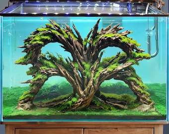 流木水槽盆栽アクアスケープ洞窟と岩、水槽の装飾用 - Etsy 日本