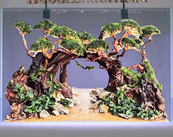 Natural driftwood bonsai tree aquascape hardscape aquascaping aquarium stone fish tank decor
