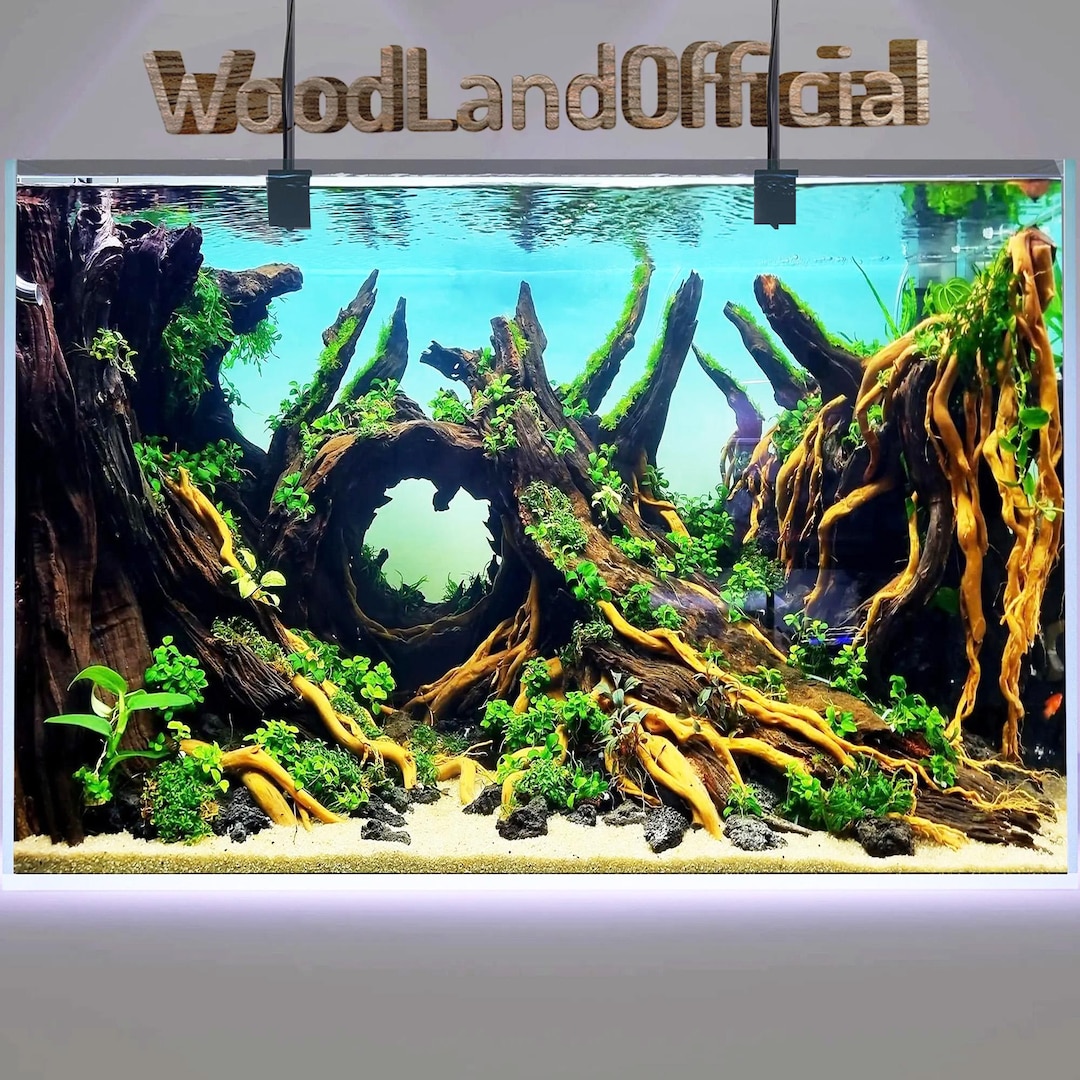 Aquarium Cave Driftwood Aquascape Lava Rock Aquascaping Hardscape ...