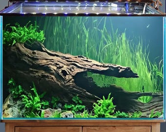 中空流木丸太水槽用流木洞窟水槽装飾品カスタムサイズ - Etsy 日本