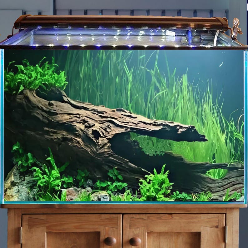 Pu&ograve; includere: Un acquario rettangolare con una base in legno. All'interno, un grande pezzo di legno alla deriva e piante acquatiche verdi sono visibili. La vasca &egrave; illuminata da un apparecchio di illuminazione a soffitto. L'acquario &egrave; pieno d'acqua.