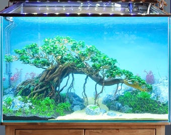 流木盆栽水槽岩水景ハードスケープ植物水槽装飾 - Etsy 日本