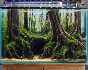 May include: An aquarium with a detailed underwater forest scene. Large, dark tree trunks and roots are covered in green moss, creating a naturalistic environment. The tank is lit with a brown and silver light fixture, and sits on a wooden cabinet.