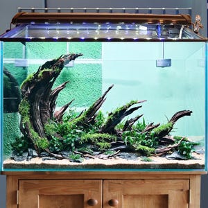 Aquascape driftwood piece aquarium hardscape aquascaping stone fish tank decoration