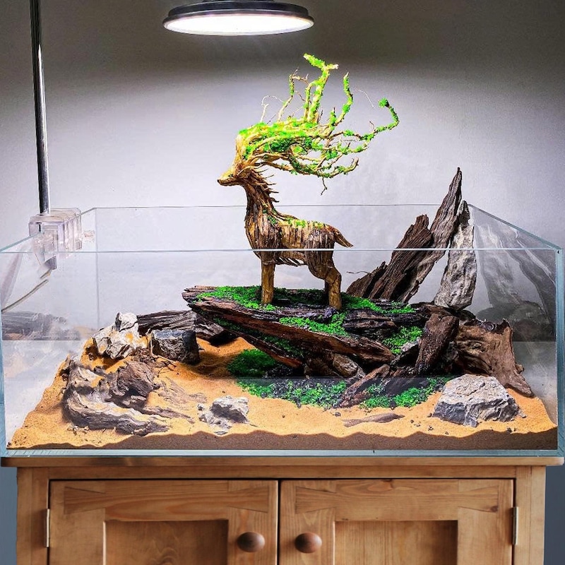 Small Driftwood Resin - Etsy Canada