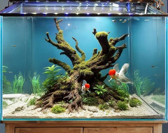 水槽装飾用の流木盆栽淡水植物 - Etsy 日本