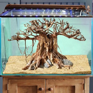 May include: An aquarium with a large, intricately shaped driftwood centerpiece. The wood is a warm brown color, resembling a miniature tree. The tank has a sand substrate and is lit by an overhead light fixture. The aquarium sits on a wooden cabinet.