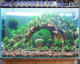 Handmade Bonsai Driftwood Aquarium Decor, Aquascape Fish Tank Ornament