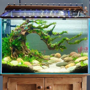 5 gallon fish tank with overflow box Aquarium (5000L/hr) and an algae pad includedyoull have everything you need to keep your finned friends happy and healthy Top Fin Essentials Aquarium Starter