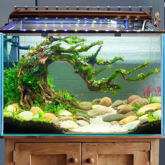 cheap fish tank accessories AWXZOM Decorations (fish tank not included), aquarium coral decorations and Aquarium Artificial Plastic Plants Set, betta fish tank coral ornaments aquarium coral Aquarium Dcor : Pet Supplies This wonderful ornament features an airstone hidden under a plastic pool that creates a cascade of bubbles that gives the appearance of a rushing waterfall (airline tubing and air pump not included) Manzanita Driftwood Aquarium Plants Planted