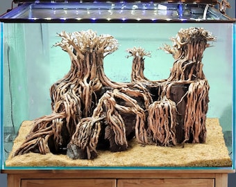 盆栽流木水槽水景流木水槽装飾 - Etsy 日本