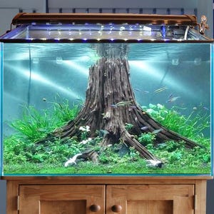 May include: A rectangular glass aquarium with a wooden cabinet base. Inside, a large, textured tree trunk rises from a bed of green plants. Small fish swim in the clear water, illuminated by overhead lighting.