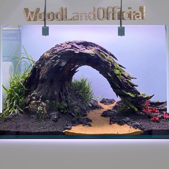 Ornamentos De Decoración De Paisajes En Miniatura, Plantas Y Flores