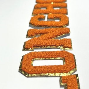 LONGHORNS Burnt Orange Chenille 3M Self Adhesive LetterSet image 2