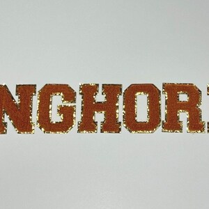 LONGHORNS Burnt Orange Chenille 3M Self Adhesive LetterSet image 4