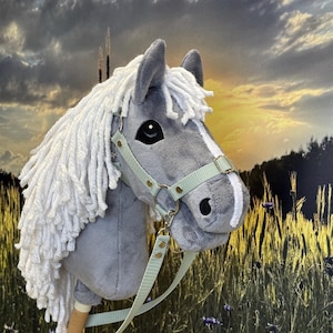 Hobby horse gray with white mane. A4 or A3
