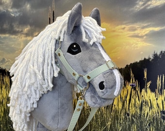 Hobby horse gray with white mane. A4 or A3