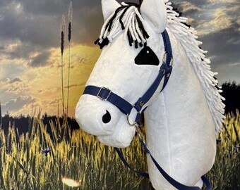 Hobby horse Fjord. A4 or A3