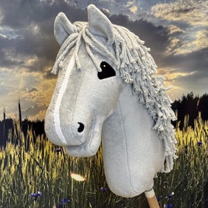 Hobby horse gray with white blaze. A4 or A3