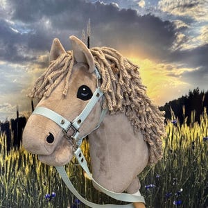 Hobby horse Arabian stallion. A4 or A3
