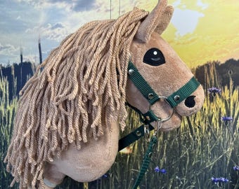 Può includere: Un cavallo a dondolo di peluche con una testa marrone, una lunga criniera fluente e una cavezza verde. Il cavallo è montato su un bastone di legno. Lo sfondo presenta un campo di erba alta e un tramonto.
