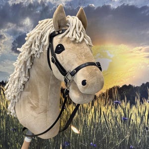 Hobby horse Cremello. A4 or A3