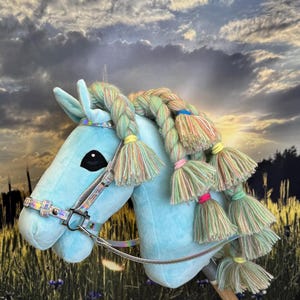 Hobby horse Princess. A4 or A3