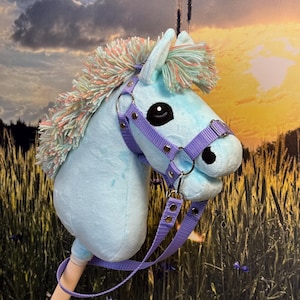 Baby hobby horse rainbow Palomino A5 super mini size.