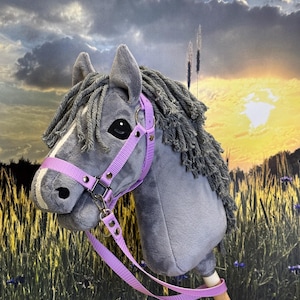 Hobby horse gray with white blaze. A4 or A3