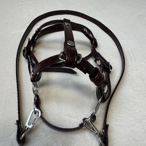 Fully adjustable realistic leather bridle with hackamore flower for hobby horse A4 or A3. Brown.
