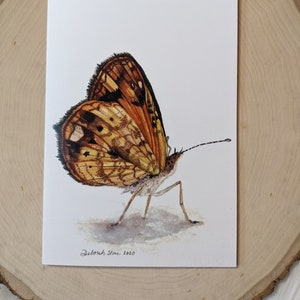 jeder Anlass Schmetterling Motte Kunst Blanko Grußkarte