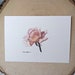 see more listings in the Biglietti di auguri vuoti section