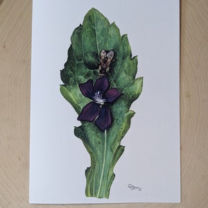 any occasion bee wildflowers weeds violet botanical blank greeting card