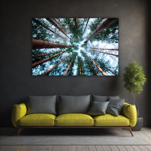 Guardando in alto, arte murale della foresta di pini, tranquillo baldacchino di albero, stampa su tela, natura, paesaggio verticale, arredamento calmo, boho, fotografia del bosco, regalo per un capo